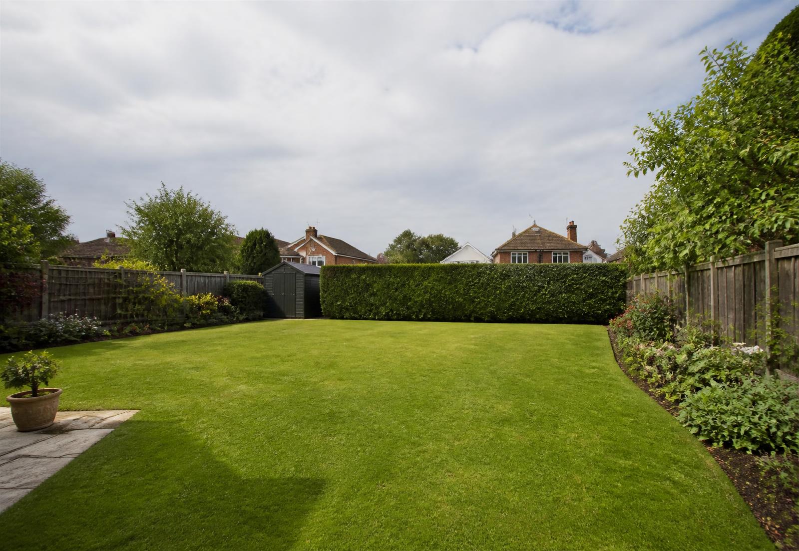 Tidy garden lawn after tree work